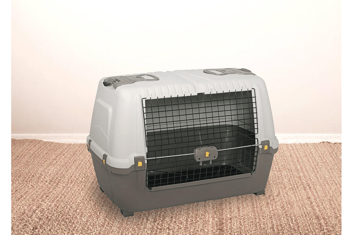 Dmora Cage de transport rigide Gistel pour chien ou chat (99 × 60 × H68 cm, portable) Amazon 110,99 euros juillet 2026 bon plan