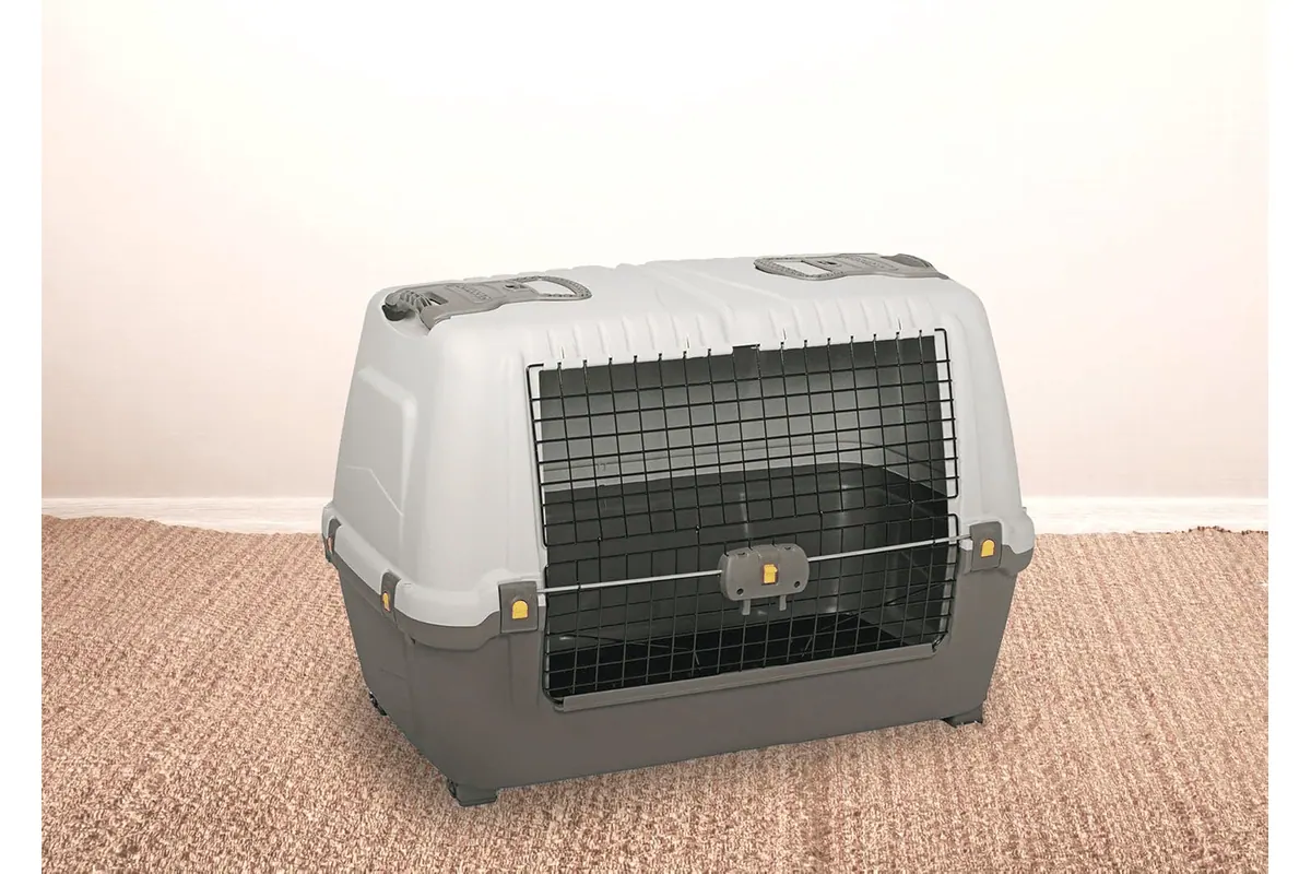 Dmora Cage de transport rigide Gistel pour chien ou chat (99 × 60 × H68 cm, portable) Amazon juillet 2026 bon plan