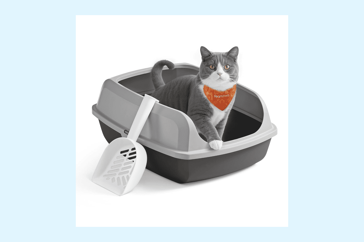 Feandrea bac à litière chat XL parois hautes ouvert sur le dessus pelle assortie chatons grands chats gris ardoise 14,99 euros Amazon