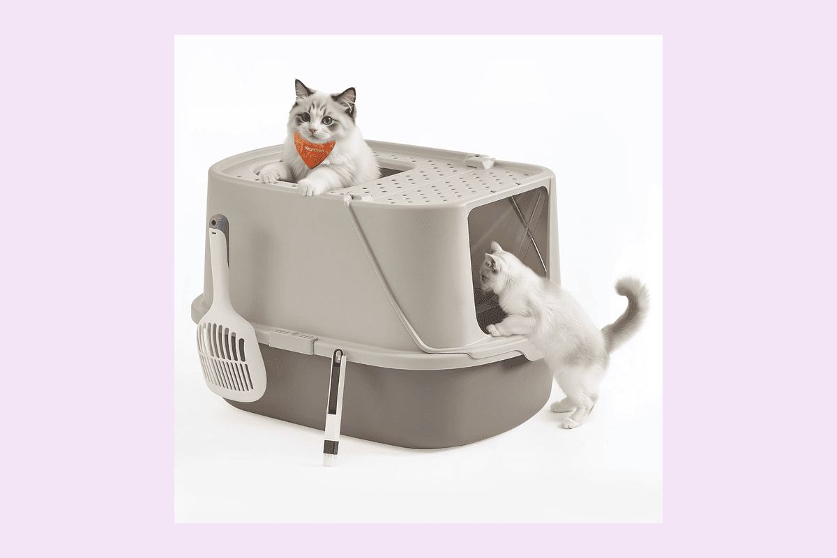 Feandrea grand bac à litière chat XXL couvercle basculant pelle et brosse chats jusqu'à 15 kg avoine gris chaud 28,79 euros Amazon