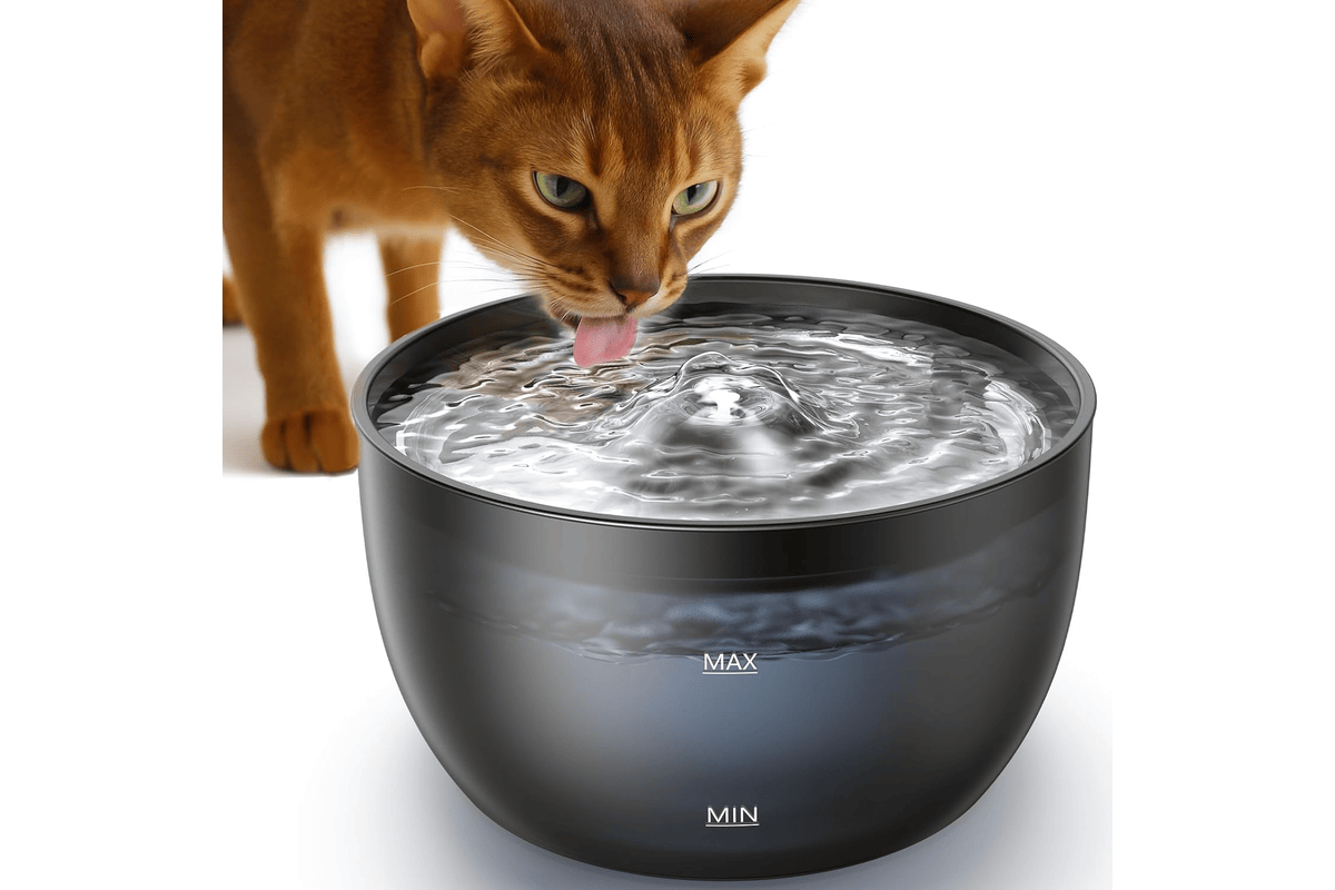 Fontaine à eau chat FeelNeedy 3L silencieuse distributeur automatique multi-chats hydratation continue