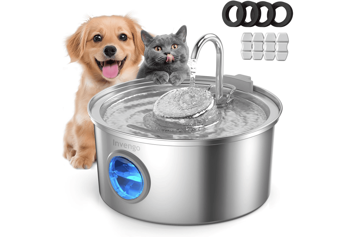 Fontaine à eau chat Invengo acier inoxydable 3,2L ultra silencieuse filtre 5 étapes hygiène hydratation félin