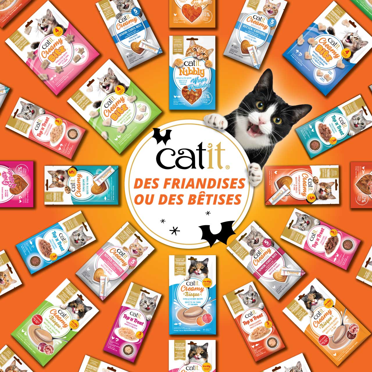 Concours Catit avec un assortiment de friandises pour chat à gagner