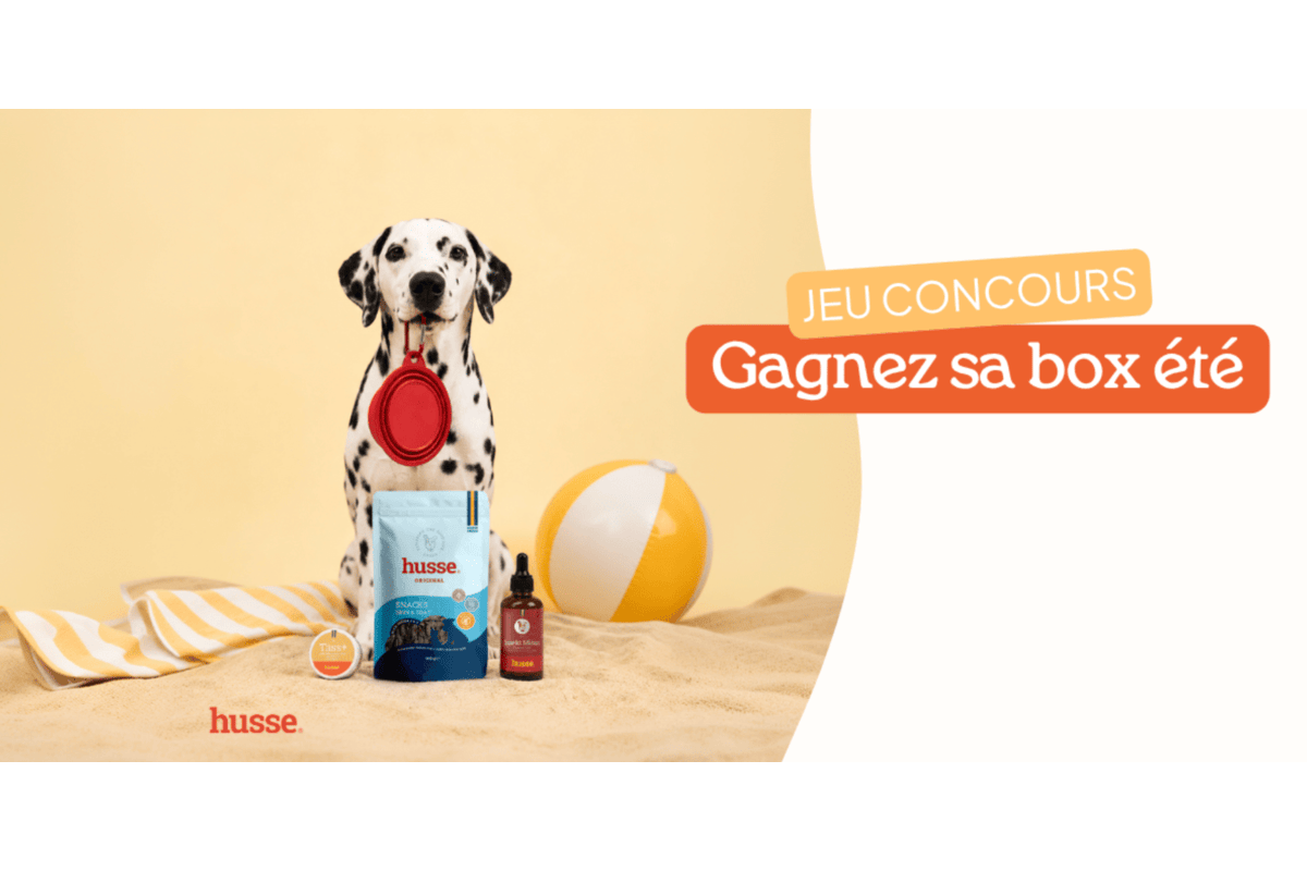 Concours Husse box été chien dalmatien gamelle voyage répulsif naturel baume coussinets friandises saumon