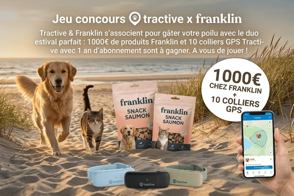 Concours Tractive x Franklin chien golden retriever et chat sur plage avec 3 colliers GPS Tractive et 2 sachets Franklin Snack Saumon