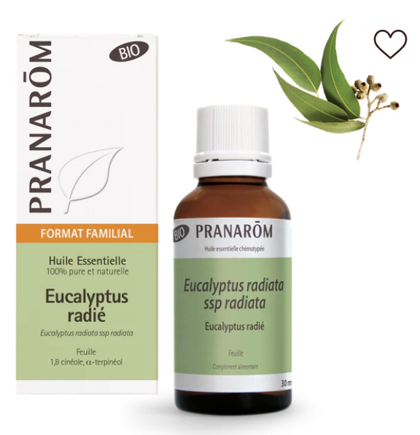 Huile essentielle Eucalyptus radié bio Pranarōm