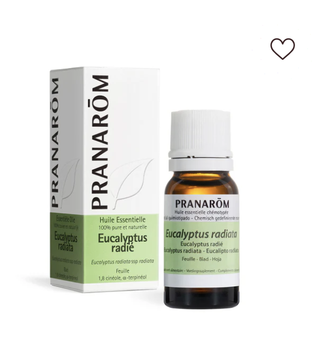 Huile essentielle Eucalyptus radié Pranarōm flacon