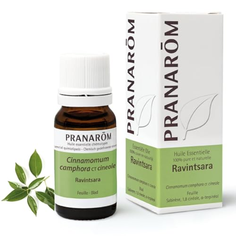Pranarôm Ravintsara Huile Essentielle Bio 10 ml flacon Confort Respiratoire