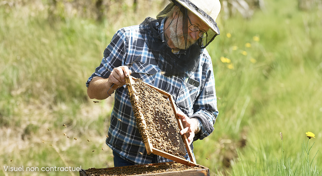 Concours Pink Lady Bee Pink apiculteur et miel de fleurs à gagner