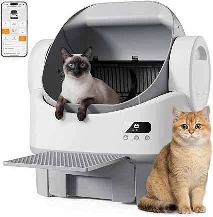 Litière pour chat autonettoyante JUMMICO proposée gratuitement à quatre testeurs