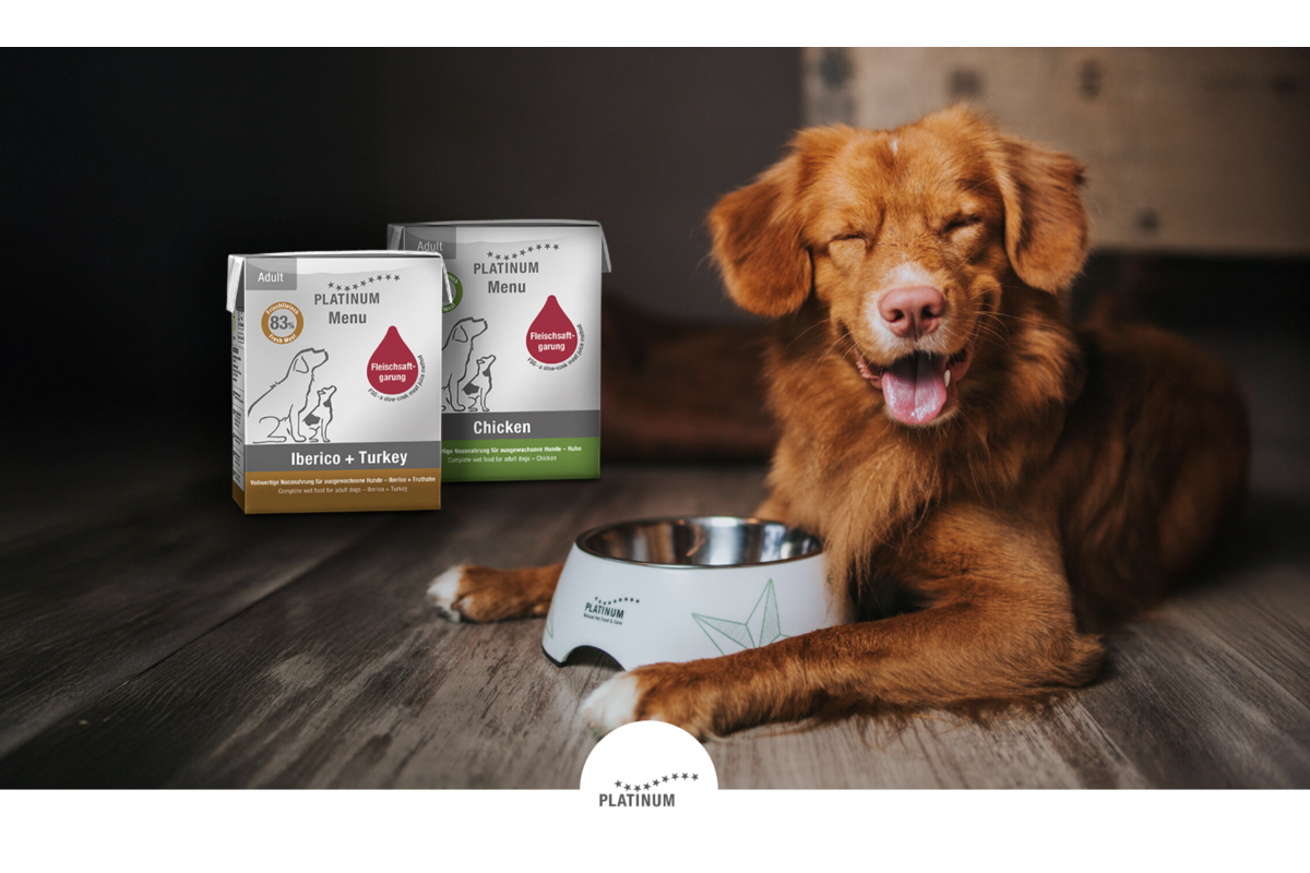 Test gratuit Platinum alimentation chien 500 testeurs trnd France 24 portions premium cuisson jus de viande mai 2026