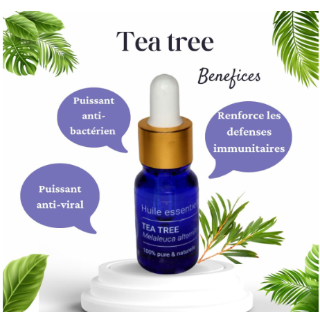 L’huile essentielle d’arbre à thé Bio : Une merveille de la nature 😊