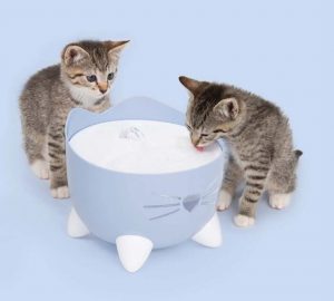 Concours Gratuit – Fontaine à Eau Catit PIXI pour Chat 🐱💧