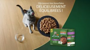 Ultima Fit & Delicious : 3000 Tests Gratuits pour Chats Stérilisés