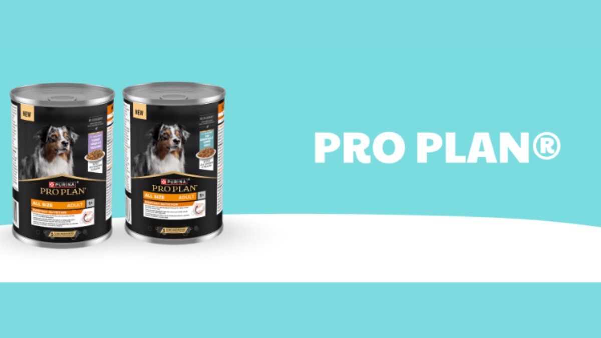 Test Produit : Les nouvelles bouchées en gelée Pro Plan® Dog Wet