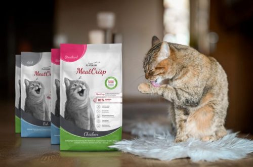 PLATINUM Chat : Deviens testeur des croquettes MeatCrisp pour ton chat !