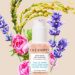 Testez gratuitement la Gelée Florale Ultra-Hydratante La Canopée !