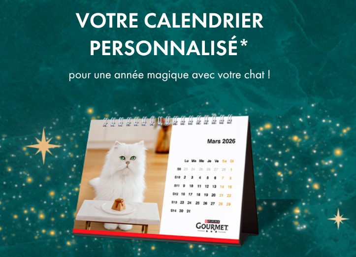Jeu GOURMET® Fééries Étoilées 2025 OA : gagnez un calendrier personnalisé ou des coffrets gourmands pour chats ✨