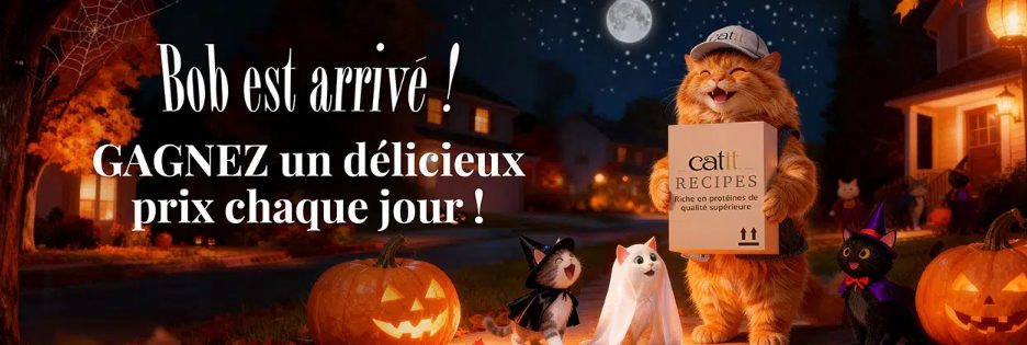 Jeu concours Catit Recipes – Gagnez des croquettes et une gamelle PIXI