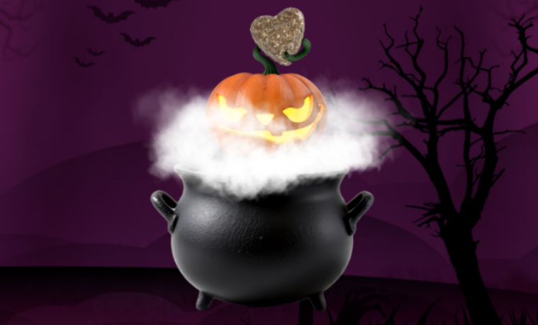 Jeu-Concours Husse Halloween – Gagnez une box pour votre chien, chat ou cheval !