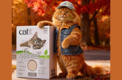 Concours Catit : Gagnez la nouvelle litière agglomérante Go Natural !
