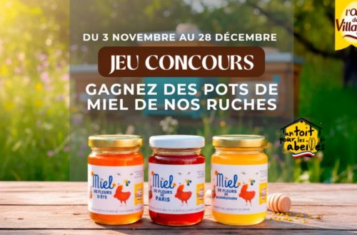 Jeu-Concours : Gagnez un Coffret Dégustation de 3 Pots de Miel
