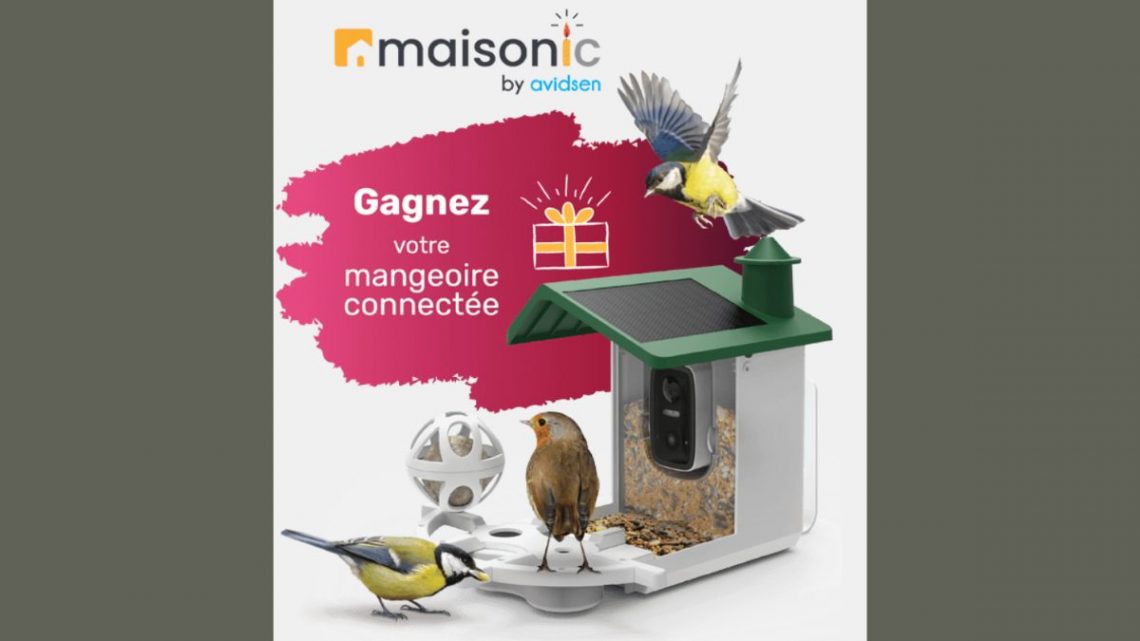 Jeu-Concours Maisonic : 20 ans – 5 mangeoires connectées à gagner !