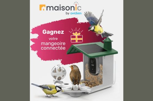 Jeu-Concours Maisonic : 20 ans – 5 mangeoires connectées à gagner !