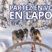 Jeu Concours : Partez en Laponie avec Nordic – Un séjour d’une valeur de 5 000 € à gagner !