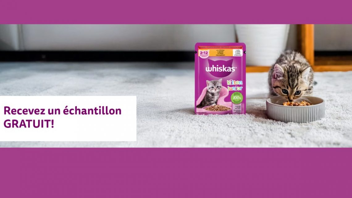 Obtenez votre échantillon gratuit WHISKAS® pour chatons dès maintenant !
