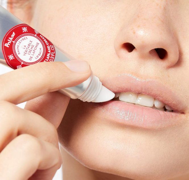 Test Produit : Cracker Laponie Féérique aux 3 Baies Arctiques – Polåar (8 exemplaires)