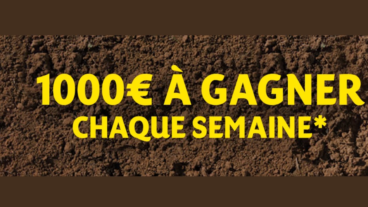 Jeu La Pomme de Terre d’Or 2026 : Gagnez 1 000 € et des lots Lay’s