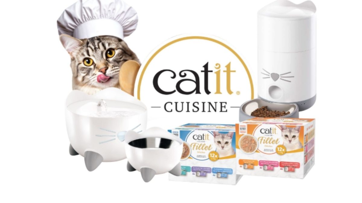 Jeu concours Catit : 4 lots à remporter pour votre chat !