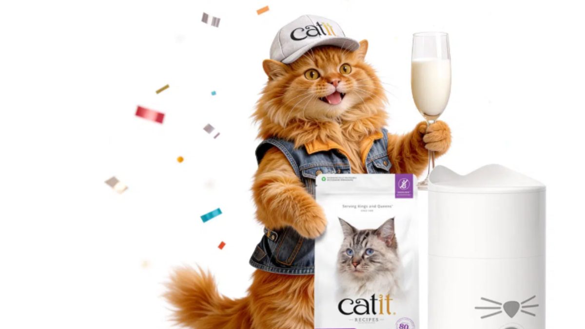Concours Catit : gagnez un distributeur intelligent Catit PIXI + des croquettes Catit