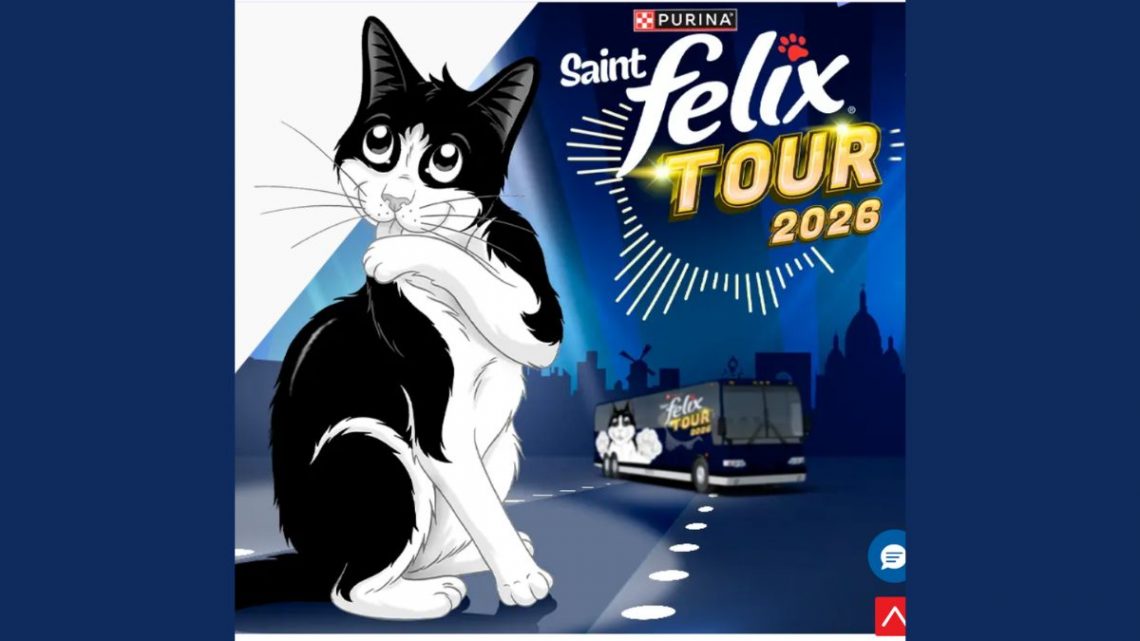 Jeu Concours SAINT FELIX® TOUR 2026 : Votre Chat Star d’une Vidéo IA + Coussins à Gagner !