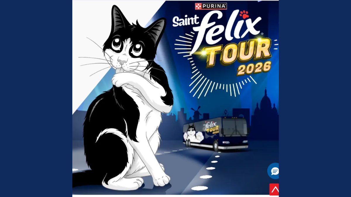 Jeu Concours FELIX® TOUR 2026 : Votre Chat Star d’une Vidéo IA + Coussins à Gagner !