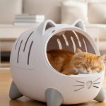 JEU-CONCOURS : Gagnez le nouveau sac de transport Catit PIXI Mio !