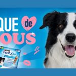 Jeu DENTALIFE Attaque de Bisous 2026 : participez et gagnez un sac DENTALIFE