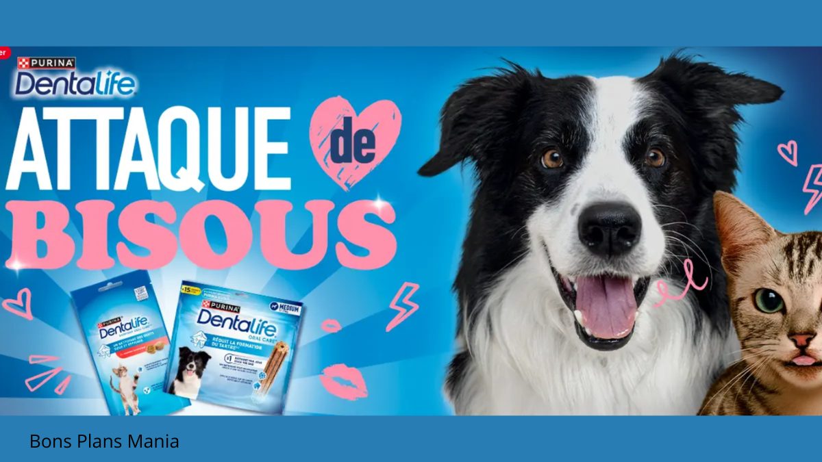 Jeu DENTALIFE Attaque de Bisous 2026 : participez et gagnez un sac DENTALIFE
